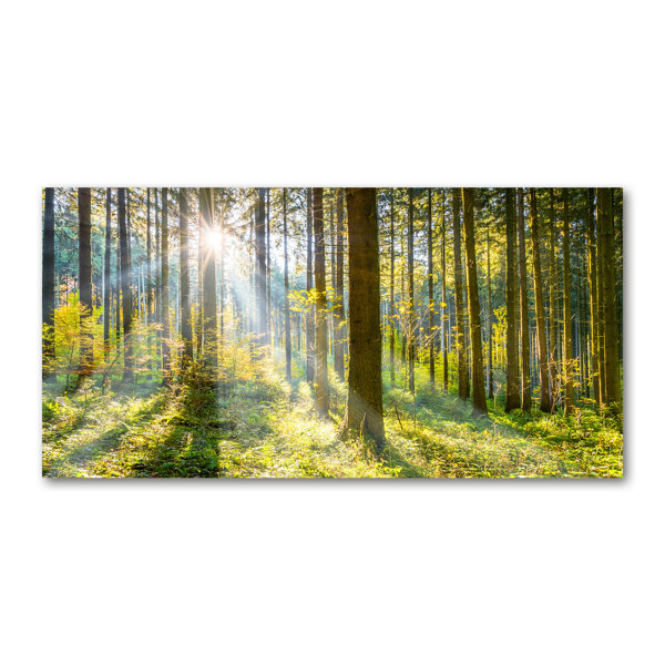 Union Rustic Wald In Der Sonne Kunstdrucke Auf Leinwand Wrapped